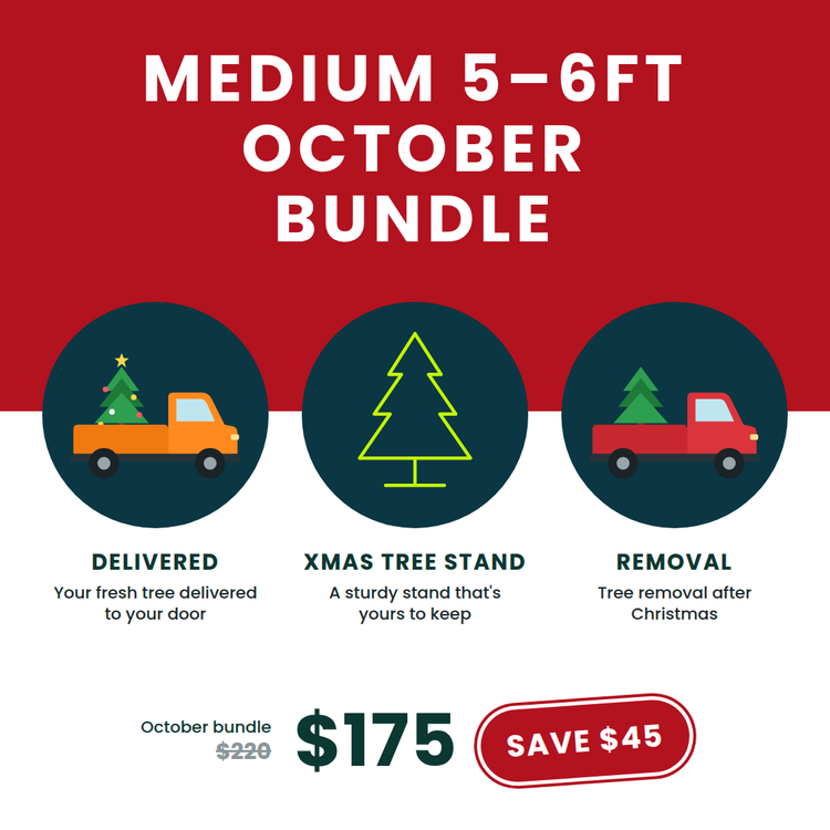 Medium Christmas Tree Bundle (5–6ft) – October Deal