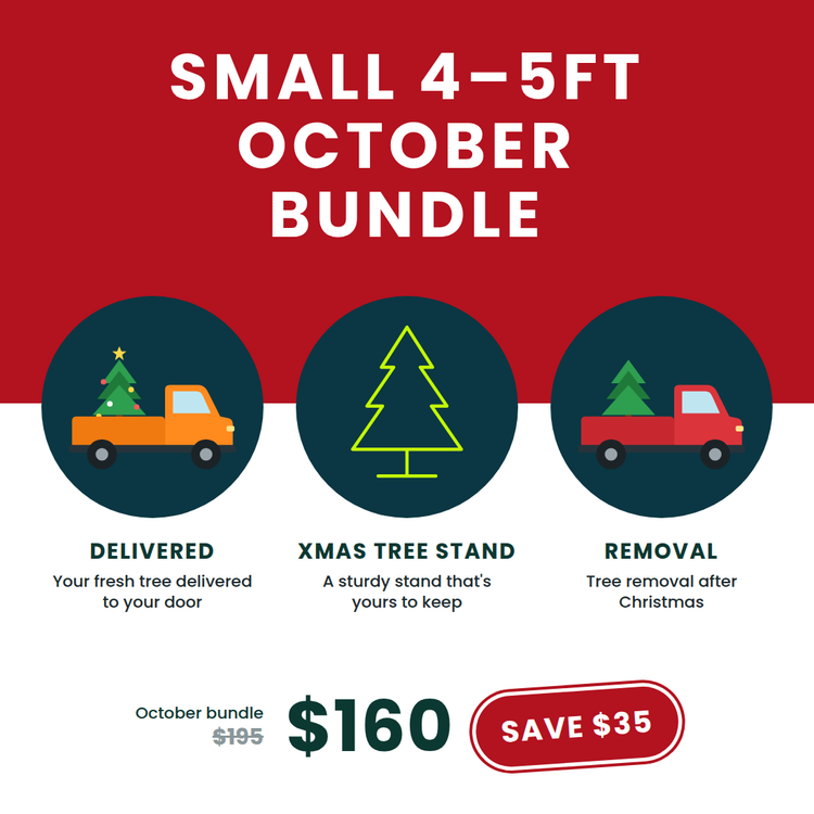 Small Christmas Tree Bundle (4–5ft) – October Deal